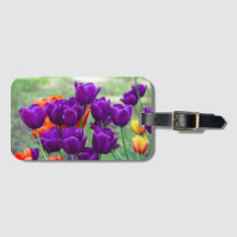 Mörk lila tulpaner på en solig dag i trädgården