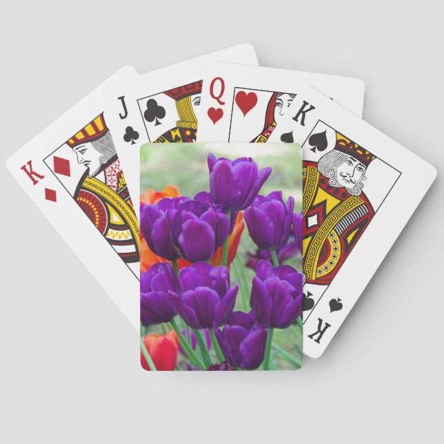 Mörk lila tulpaner på en solig dag i trädgården casinokort (Baksidan)