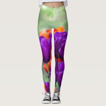 Mörk lila tulpaner på en solig dag i trädgården