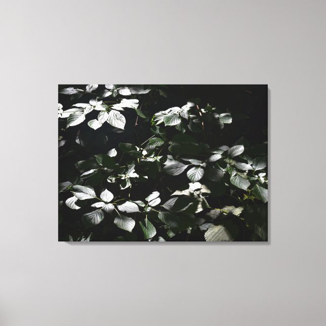 Mörk Löv Canvastryck (Framsida)