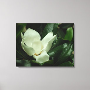 Mörk Magnolia Canvastryck
