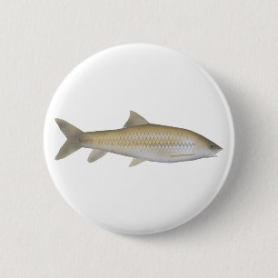 Mörk Mahseer Knapp