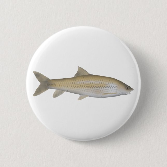 Mörk Mahseer Knapp (Framsida)