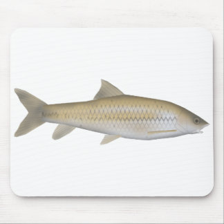 Mörk Mahseer Musmatta