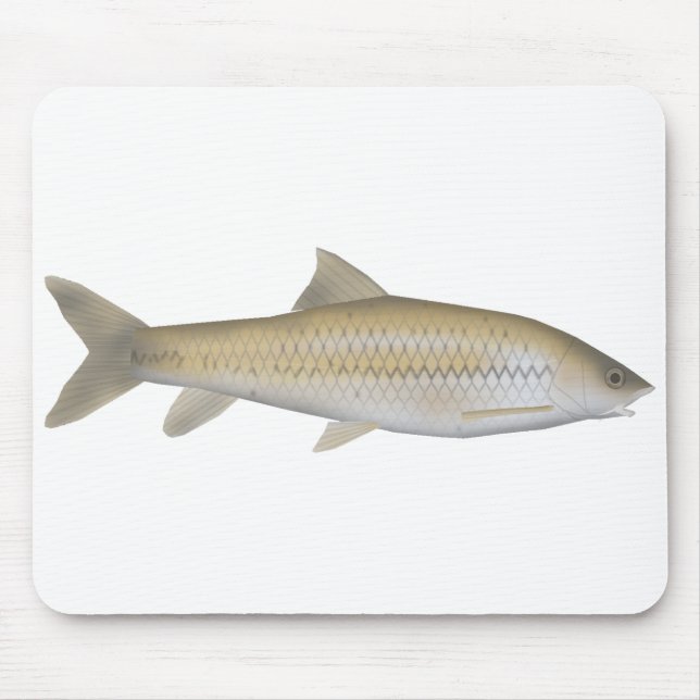Mörk Mahseer Musmatta (Framsidan)