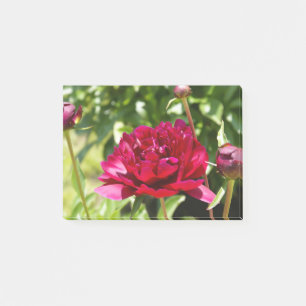 Mörk Maroon velvet peonies Post-it Block
