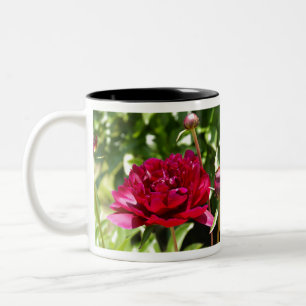 Mörk Maroon velvet peonies Två-Tonad Mugg