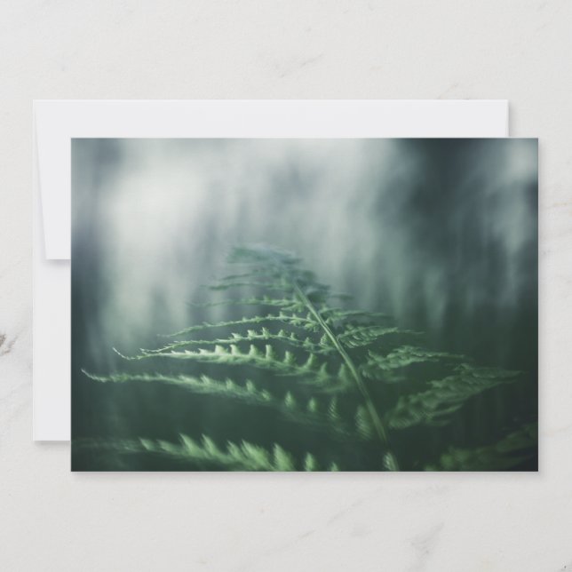 Mörk Moody Fern-naturfotokort (Framsida)