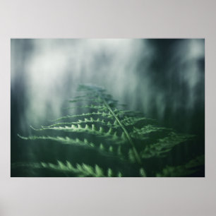 Mörk Moody foto av färgen natur Poster