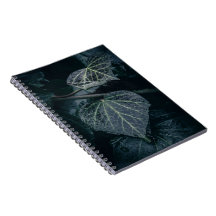 Mörk Moody foto av ivy-natur