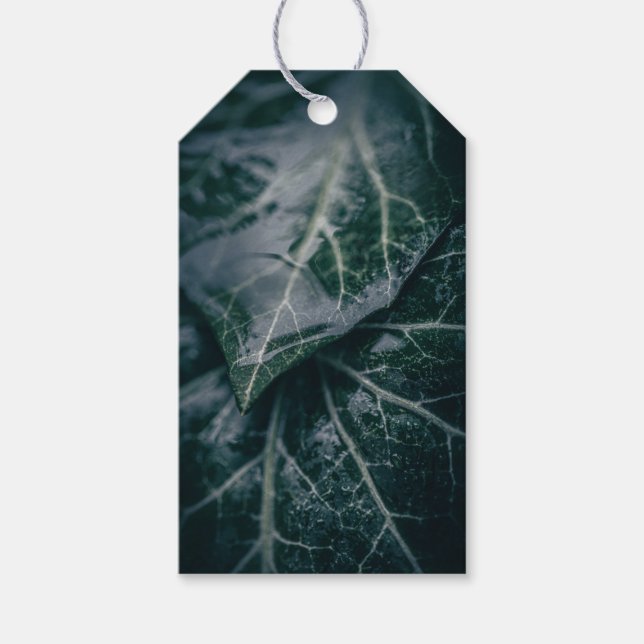 Mörk Moody Ivy Löv Natature Photo Presentetikett (Framsidan)