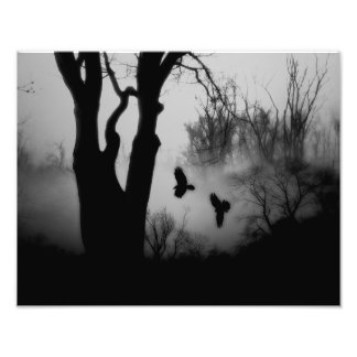 Mörk Mysterious Forest Kråkas Fototryck