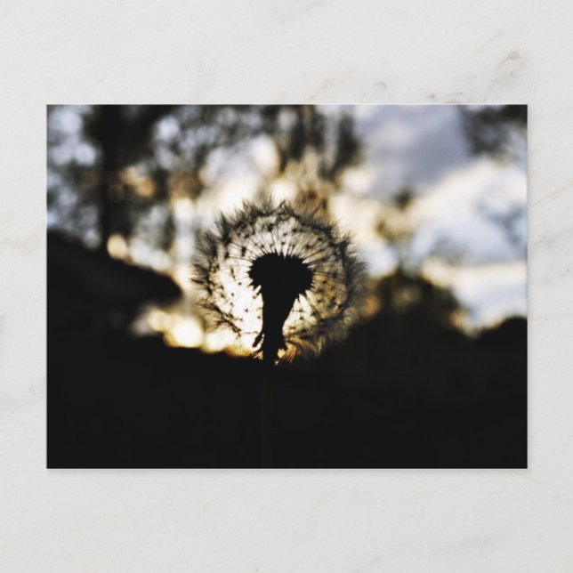 Mörk N Dandy Vykort (Framsida)