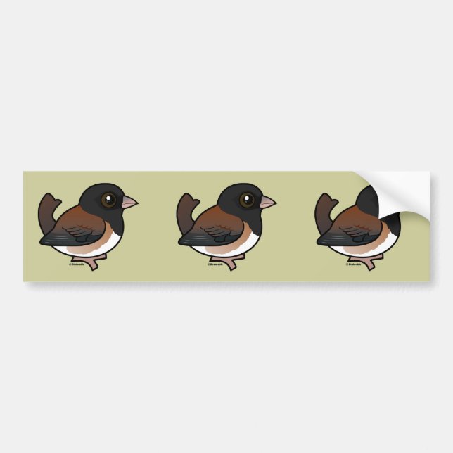 Mörk-ögd Junco (Oregon) Bildekal (Framsidan)