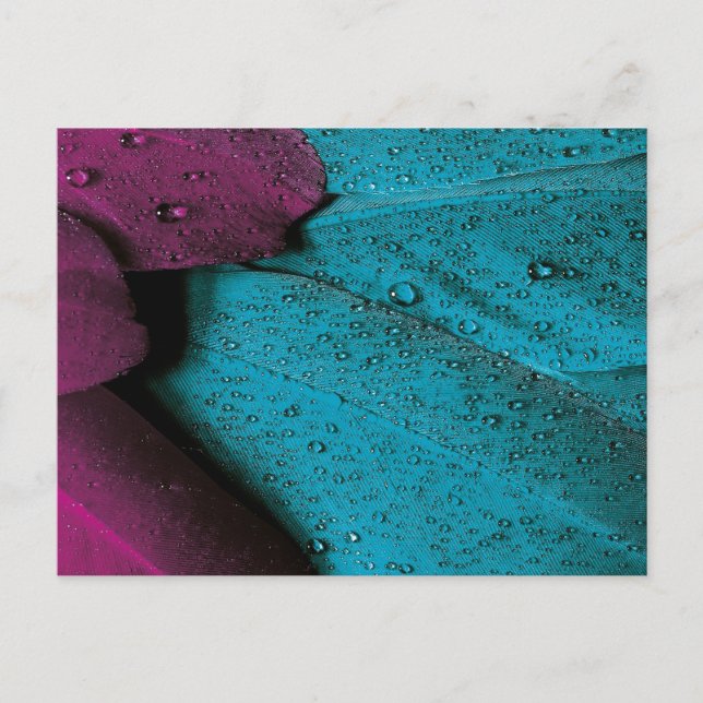 Mörk Orchid - och tarminspelning Vykort (Framsida)