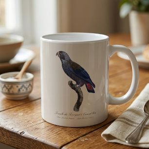 Mörk papegoja, Pionus fuscus Kaffemugg