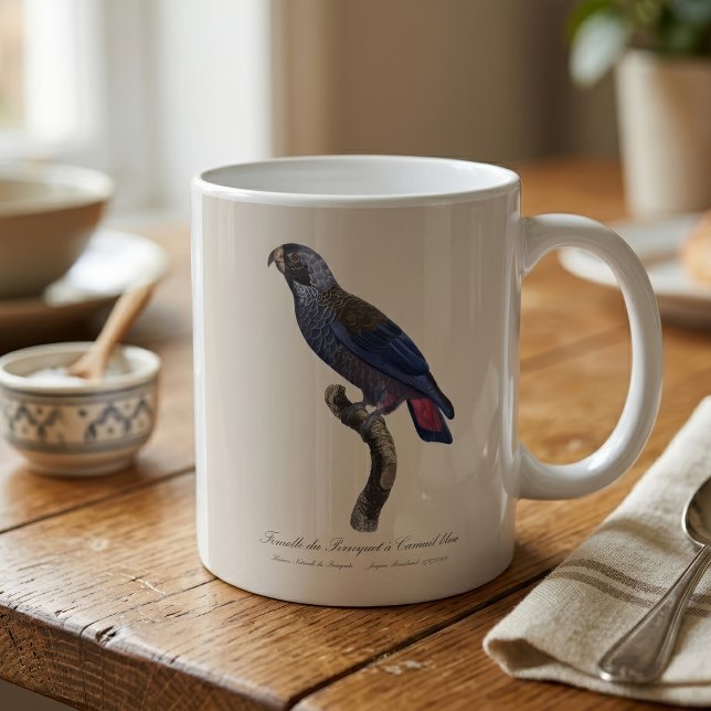 Mörk papegoja, Pionus fuscus Kaffemugg (Dusky Parrot or Dusky Pionus, Pionus fuscus. Coffee Mug)