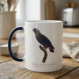 Mörk papegoja, Pionus fuscus Magisk Mugg