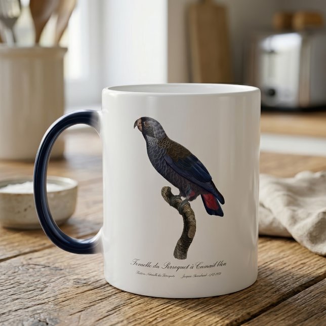 Mörk papegoja, Pionus fuscus Magisk Mugg (Dusky Parrot or Dusky Pionus, Pionus fuscus. Color Morph Mug )