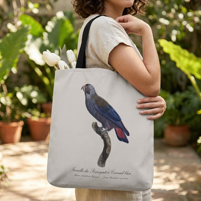 Mörk papegoja, Pionus fuscus Tygkasse (Dusky Parrot or Dusky Pionus, Pionus fuscus. Tote Bag)