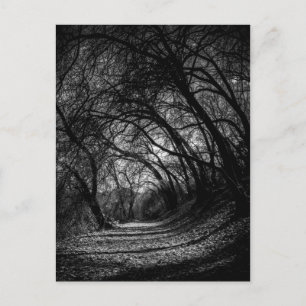 Mörk Pathway Vykort