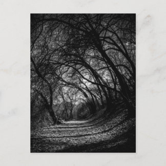 Mörk Pathway Vykort