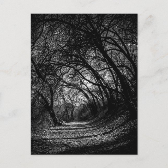 Mörk Pathway Vykort (Framsida)