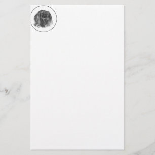 Mörk Pekingese