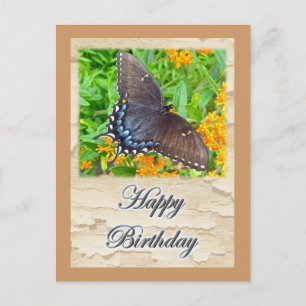Mörk Phase Tiger Swallowtail Butterfly Birthday Vykort