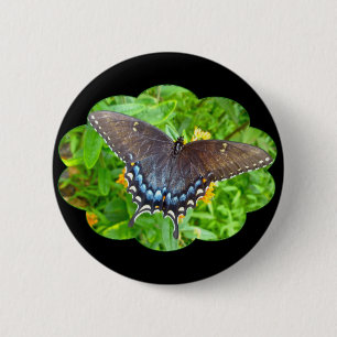 Mörk Phase Tiger Swallowtail Butterfly Items Knapp
