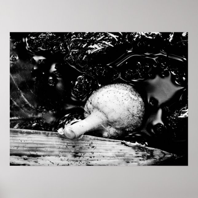 mörk poster (Framsidan)