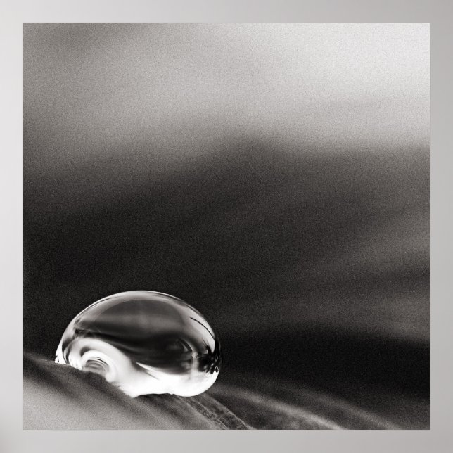 Mörk Poster (Framsidan)