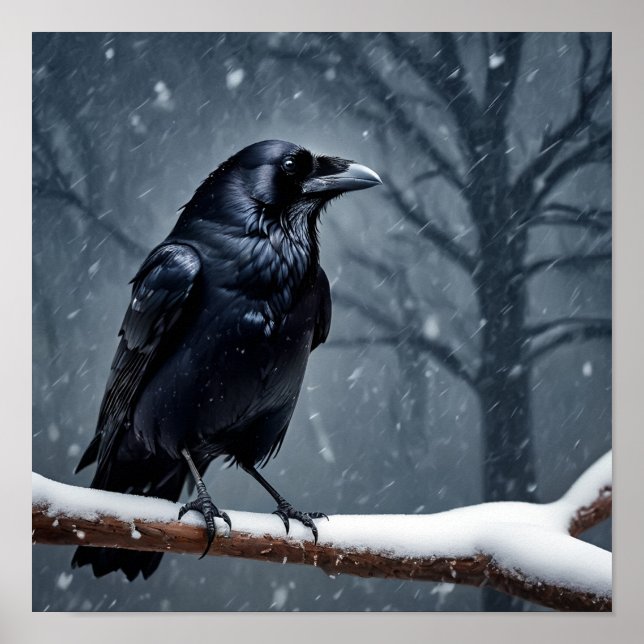 Mörk Raven Black Bird Poster (Framsidan)