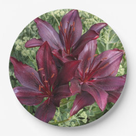 Mörk Red Asiatic Lilies Blommigt