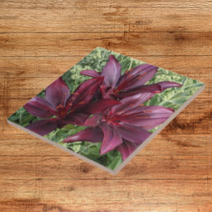 Mörk Red Asiatic Lilies Blommigt Kakelplatta