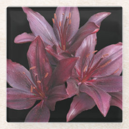 Mörk Red Asiatic Lilies på Black Blommigt