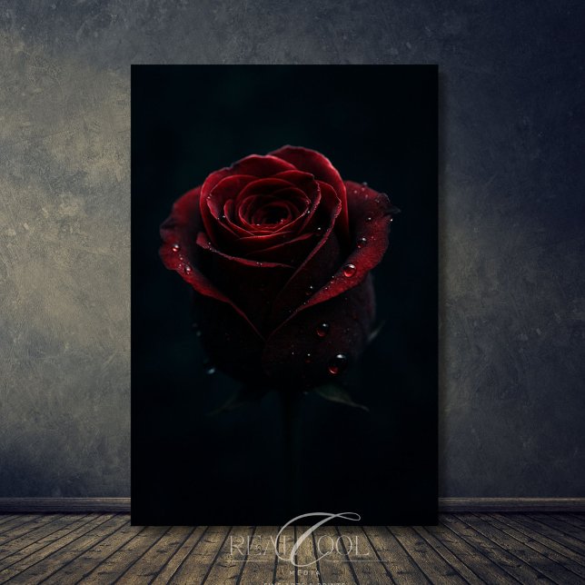 Mörk Röd ros Elegant Natur Fotography Art Poster (Skapare uppladdad)