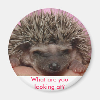 mörk rosa 3, vad tittar du på? magnet