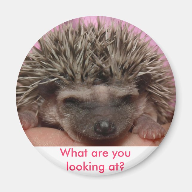 mörk rosa 3, vad tittar du på? magnet (Framsidan)