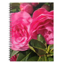 Mörk rosa Camellia Flowers