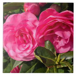 Mörk rosa Camellia Flowers Kakelplatta