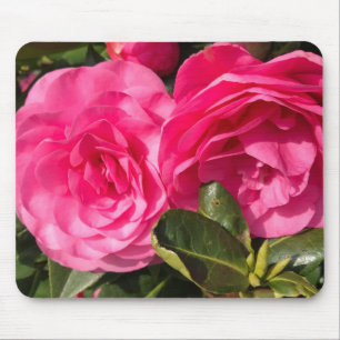 Mörk rosa Camellia Flowers Musmatta