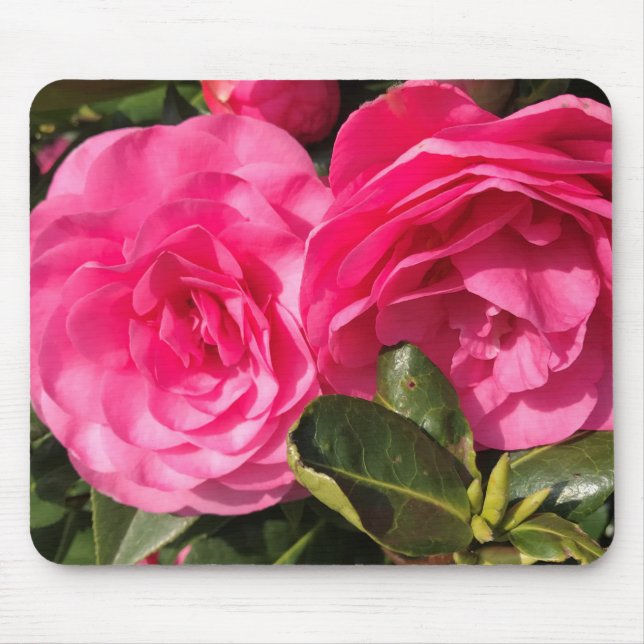 Mörk rosa Camellia Flowers Musmatta (Framsidan)