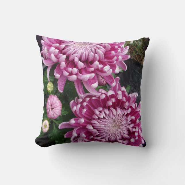 Mörk Rosa Chrysanthemum Flower blommigt Cushion Kudde (Framsida)