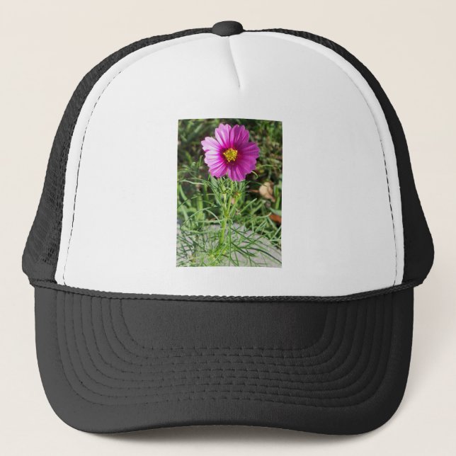 Mörk rosa Cosmos daisy blomma Truckerkeps (Framsida)