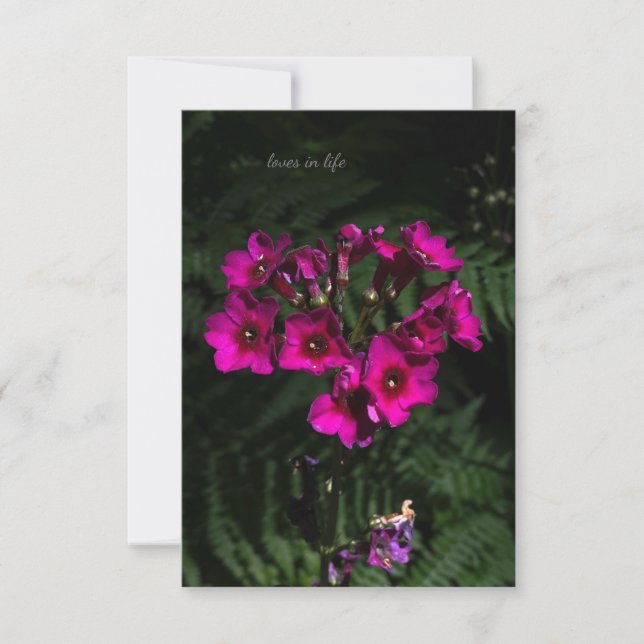 Mörk Rosa Flower med Ferns Anteckningskort (Framsida)