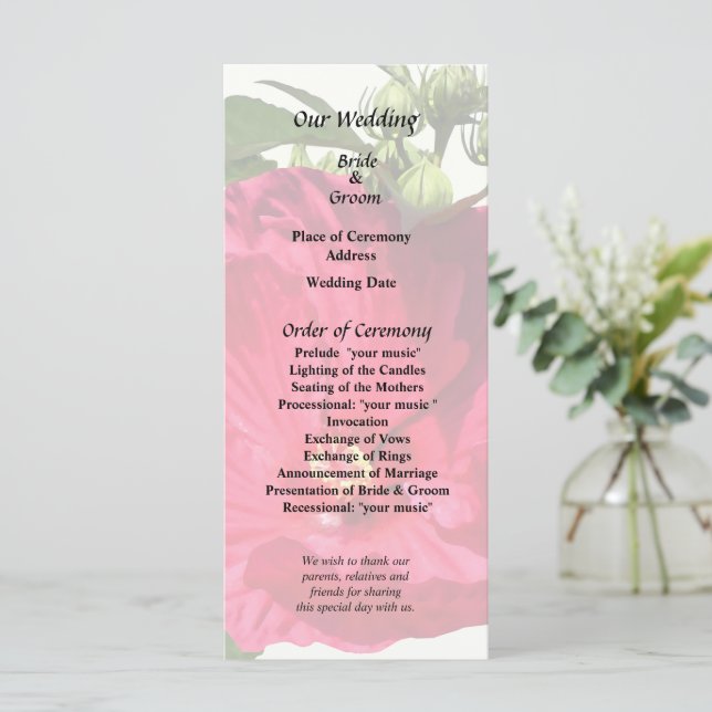Mörk Rosa Hibiscus Program (Stående Fram)