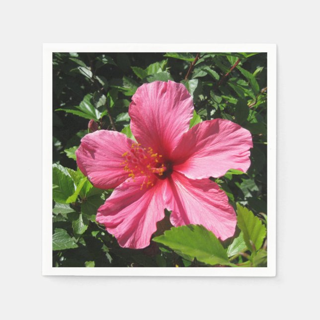 Mörk rosa hibiskus pappersservett (Framsidan)