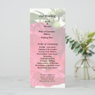 Mörk Rosa Hibiskus Program