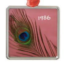 Mörk Rosa Peacock Feather still Life